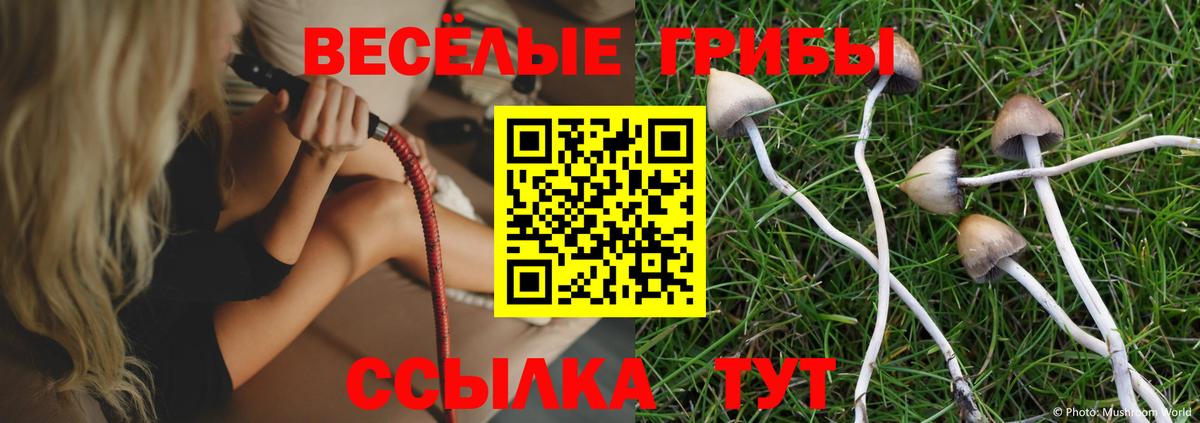 Галлюциногенные грибы MAGIC MUSHROOMS Елец