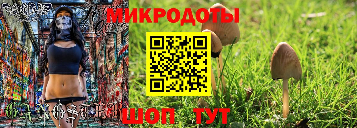 Елец  Псилоцибиновые грибы Cubensis  Вход с VPN 
